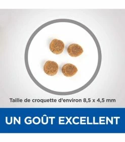 HILL'S Pet Nutrition Croquettes ADULT NO GRAIN THON & POMMES DE TERRE Chat Sac 1,5 Kg - Vet Essentials -alimentation chats boutique croquettes adult no grain thon pommes de terre chat sac 1 kg vetessentials 2