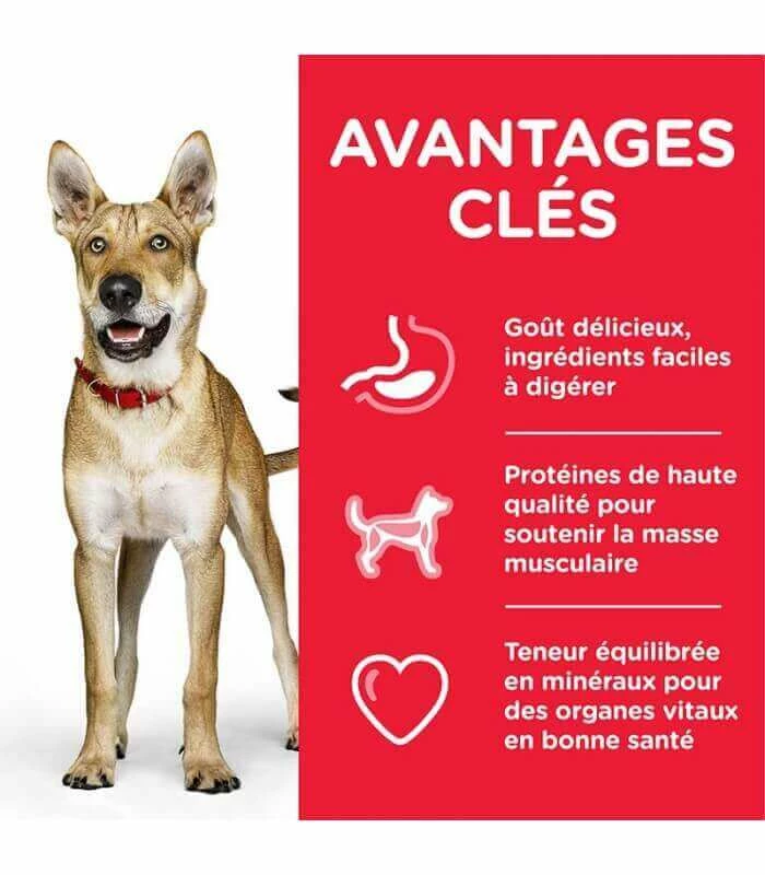 HILL'S Pet Nutrition Croquettes ADULT PERFORMANCE Chien Sac 14 Kg - Science Plan 2 HILL'S Pet Nutrition Croquettes ADULT PERFORMANCE Chien Sac 14 Kg - Science Plan – Image 2