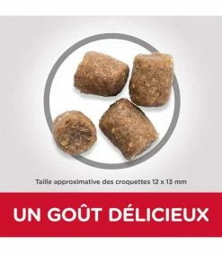 HILL'S Pet Nutrition Croquettes ADULT PERFORMANCE Chien Sac 14 Kg - Science Plan 6 HILL'S Pet Nutrition Croquettes ADULT PERFORMANCE Chien Sac 14 Kg - Science Plan -alimentation chats boutique croquettes adult performance chien sac 14 kg science plan 2