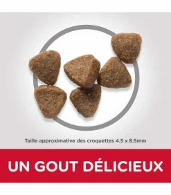 HILL'S Pet Nutrition Croquettes ADULT POULET Chat Sac 1.5 Kg - Science Plan -alimentation chats boutique croquettes adult poulet chat sac 1 kg science plan 2