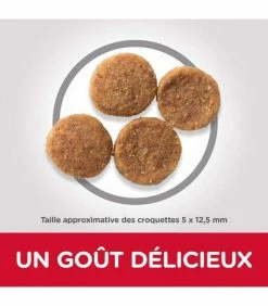 HILL'S Pet Nutrition Croquettes ADULT SENSITIVE STOMACH&SKIN MEDIUM POULET Chien Sac 14 Kg - Science Plan -alimentation chats boutique croquettes adult sensitive stomach skin medium poulet chien sac 14 kg science plan 2
