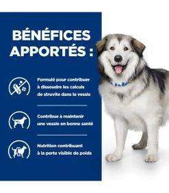 HILL'S Pet Nutrition Croquettes C/D MULTICARE + METABOLIC Chien Sac 12 Kg - Prescription Diet 13 HILL'S Pet Nutrition Croquettes C/D MULTICARE + METABOLIC Chien Sac 12 Kg - Prescription Diet -alimentation chats boutique croquettes cd multicare metabolic chien sac 12 kg prescription diet 4