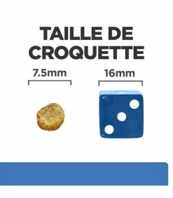 HILL'S Pet Nutrition Croquettes DERM COMPLETE MINI Chien Sac 1 Kg - Prescription Diet -alimentation chats boutique croquettes derm complete mini chien sac 1 kg prescription diet 5