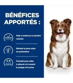 HILL'S Pet Nutrition Croquettes DERM DEFENSE Chien Sac 1.5 Kg - Prescription Diet 13 HILL'S Pet Nutrition Croquettes DERM DEFENSE Chien Sac 1.5 Kg - Prescription Diet -alimentation chats boutique croquettes derm defense chien sac 4 kg prescription diet 13