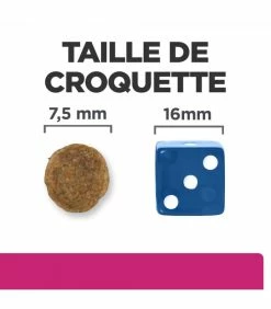 HILL'S Pet Nutrition Croquettes GASTROINTESTINAL BIOME MINI Chien Sac 1 Kg - Prescription Diet -alimentation chats boutique croquettes gastrointestinal biome mini chien sac 1 kg prescription diet 5
