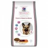 HILL'S Pet Nutrition Croquettes HEALTHY DIGESTIVE BIOME LARGE Chien Sac 16 Kg - Vet Essentials