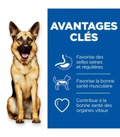 HILL'S Pet Nutrition Croquettes HEALTHY DIGESTIVE BIOME LARGE Chien Sac 16 Kg - Vet Essentials -alimentation chats boutique croquettes healthy digestive biome large chien sac 16 kg vet essentials 2