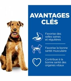 HILL'S Pet Nutrition Croquettes HEALTHY DIGESTIVE BIOME MEDIUM Chien Sac 10 Kg - Vet Essentials -alimentation chats boutique croquettes healthy digestive biome medium chien sac 10 kg vet essentials 2