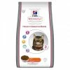 HILL'S Pet Nutrition Croquettes HEALTHY DIGESTIVE BIOME SAUMON Chat Sac 8 Kg - Vet Essentials