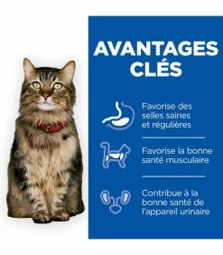 HILL'S Pet Nutrition Croquettes HEALTHY DIGESTIVE BIOME SAUMON Chat Sac 8 Kg - Vet Essentials -alimentation chats boutique croquettes healthy digestive biome saumon chat sac 8 kg vet essentials 2