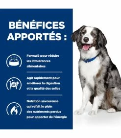 HILL'S Pet Nutrition Croquettes I/D SENSITIVE DIGESTIVE OEUF & RIZ Chien Et Chiot Sac 12 Kg - Prescription Diet 13 HILL'S Pet Nutrition Croquettes I/D SENSITIVE DIGESTIVE OEUF & RIZ Chien Et Chiot Sac 12 Kg - Prescription Diet -alimentation chats boutique croquettes id sensitive digestive oeuf riz chien et chiot sac 12 kg prescription diet 4