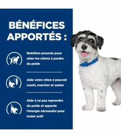 HILL'S Pet Nutrition Croquettes J/D METABOLIC + MOBILITY MINI POULET Chien Sac 1 Kg - Prescription Diet -alimentation chats boutique croquettes jd metabolic mobility mini poulet chien sac 1 kg prescription diet 2