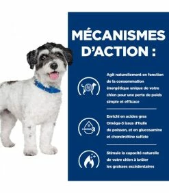 HILL'S Pet Nutrition Croquettes J/D METABOLIC + MOBILITY MINI POULET Chien Sac 1 Kg - Prescription Diet -alimentation chats boutique croquettes jd metabolic mobility mini poulet chien sac 1 kg prescription diet 3