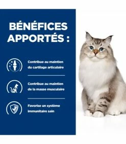 HILL'S Pet Nutrition Croquettes J/D MOBILITY POULET Chat Sac 3 Kg - Prescription Diet -alimentation chats boutique croquettes jd mobility poulet chat sac 3 kg prescription diet 3