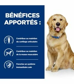 HILL'S Pet Nutrition Croquettes J/D MOBILITY POULET Chien Sac 12 Kg - Prescription Diet 14 HILL'S Pet Nutrition Croquettes J/D MOBILITY POULET Chien Sac 12 Kg - Prescription Diet -alimentation chats boutique croquettes jd mobility poulet chien sac 12 kg prescription diet 5