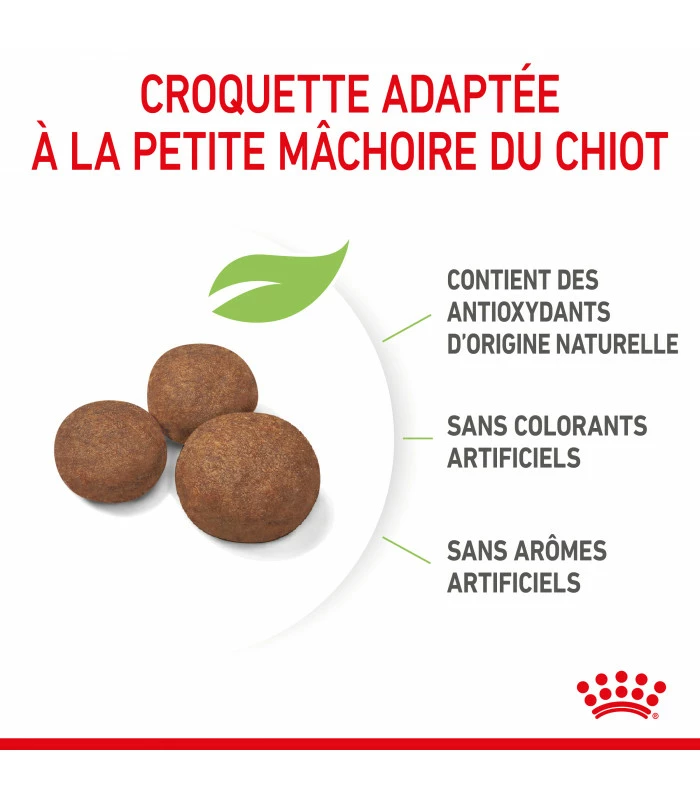 ROYAL CANIN Croquettes Dog Medium Puppy Sac 10 Kg - Veterinary Care Nutrition 5 ROYAL CANIN Croquettes Dog Medium Puppy Sac 10 Kg - Veterinary Care Nutrition – Image 5