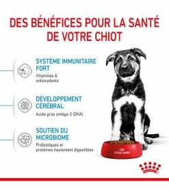 ROYAL CANIN Croquettes Dog Maxi Puppy Sac 15 Kg - Veterinary Care Nutrition -alimentation chats boutique croquettes junior large chien sac 14 kg veterinary care nutrition 11