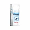ROYAL CANIN Croquettes JUNIOR LARGE Chien Sac 14 Kg - Veterinary Care Nutrition