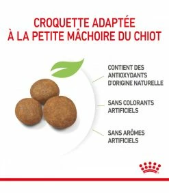 ROYAL CANIN Croquettes Dog Maxi Puppy Sac 10 Kg - Veterinary Care Nutrition -alimentation chats boutique croquettes junior large chien sac 14 kg veterinary care nutrition 3