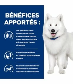 HILL'S Pet Nutrition Croquettes K/D J/D KIDNEY + MOBILITY Chien Sac 12 Kg - Prescription Diet -alimentation chats boutique croquettes kd jd kidney mobility chien sac 12 kg prescription diet 4