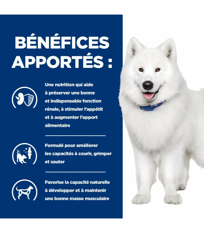 HILL'S Pet Nutrition Croquettes K/D J/D KIDNEY + MOBILITY Chien Sac 4 Kg - Prescription Diet 5 HILL'S Pet Nutrition Croquettes K/D J/D KIDNEY + MOBILITY Chien Sac 4 Kg - Prescription Diet – Image 5