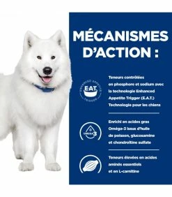 HILL'S Pet Nutrition Croquettes K/D J/D KIDNEY + MOBILITY Chien Sac 4 Kg - Prescription Diet 14 HILL'S Pet Nutrition Croquettes K/D J/D KIDNEY + MOBILITY Chien Sac 4 Kg - Prescription Diet -alimentation chats boutique croquettes kd jd kidney mobility chien sac 4 kg prescription diet 5