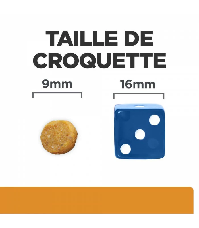 HILL'S Pet Nutrition Croquettes K/D J/D KIDNEY + MOBILITY POULET Chat Sac 3 Kg - Prescription Diet 5 HILL'S Pet Nutrition Croquettes K/D J/D KIDNEY + MOBILITY POULET Chat Sac 3 Kg - Prescription Diet â Image 5