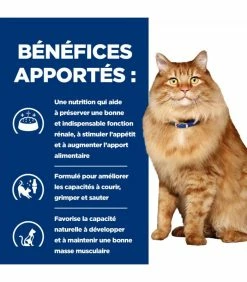 HILL'S Pet Nutrition Croquettes K/D J/D KIDNEY + MOBILITY POULET Chat Sac 3 Kg - Prescription Diet 10 HILL'S Pet Nutrition Croquettes K/D J/D KIDNEY + MOBILITY POULET Chat Sac 3 Kg - Prescription Diet -alimentation chats boutique croquettes kd jd kidney mobility poulet chat sac 3 kg prescription diet 9