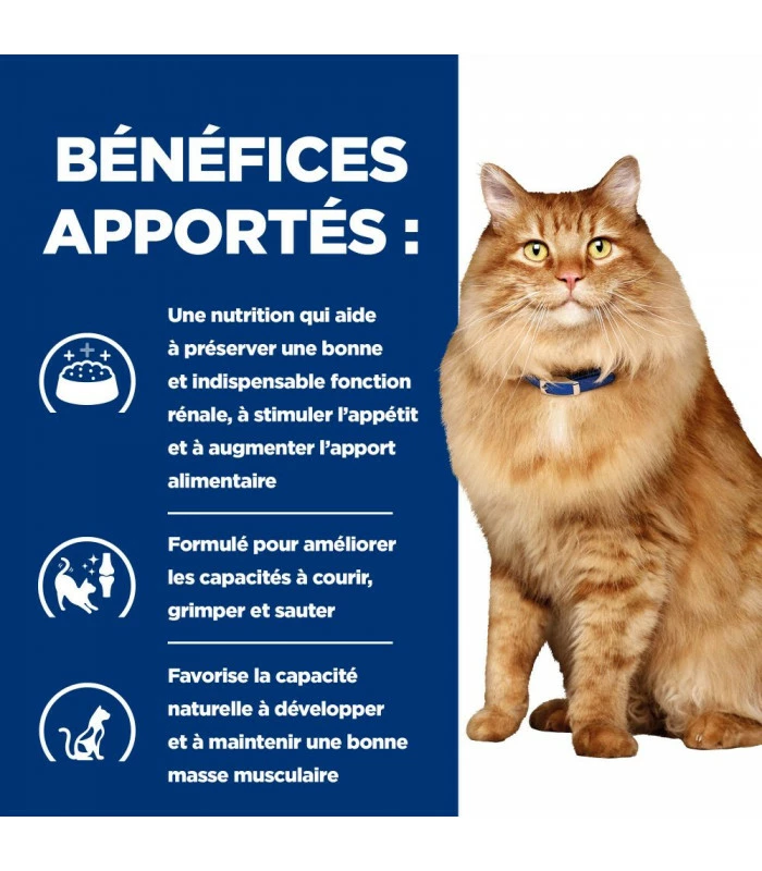 HILL'S Pet Nutrition Croquettes K/D J/D KIDNEY + MOBILITY POULET Chat Sac 3 Kg - Prescription Diet 3 HILL'S Pet Nutrition Croquettes K/D J/D KIDNEY + MOBILITY POULET Chat Sac 3 Kg - Prescription Diet â Image 3