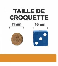 HILL'S Pet Nutrition Croquettes K/D KIDNEY Chien Sac 12 Kg - Prescription Diet 12 HILL'S Pet Nutrition Croquettes K/D KIDNEY Chien Sac 12 Kg - Prescription Diet -alimentation chats boutique croquettes kd kidney chien sac 12 kg prescription diet 3