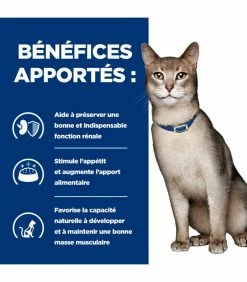 HILL'S Pet Nutrition Croquettes K/D KIDNEY POULET Chat Sac 3 Kg - Prescription Diet 11 HILL'S Pet Nutrition Croquettes K/D KIDNEY POULET Chat Sac 3 Kg - Prescription Diet -alimentation chats boutique croquettes kd kidney poulet chat sac 3 kg prescription diet 11