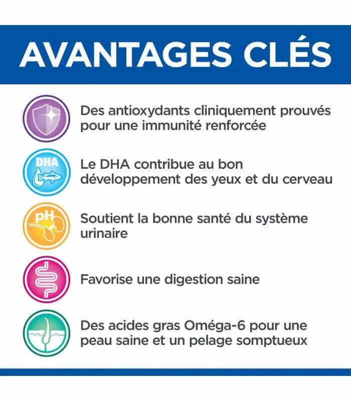 HILL'S Pet Nutrition Croquettes KITTEN GROWTH POULET Chat Sac 2.5 Kg - Vet Essentials 3 HILL'S Pet Nutrition Croquettes KITTEN GROWTH POULET Chat Sac 2.5 Kg - Vet Essentials – Image 3