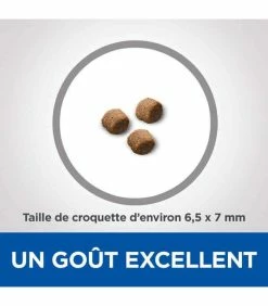 HILL'S Pet Nutrition Croquettes KITTEN GROWTH POULET Chat Sac 2.5 Kg - Vet Essentials 9 HILL'S Pet Nutrition Croquettes KITTEN GROWTH POULET Chat Sac 2.5 Kg - Vet Essentials -alimentation chats boutique croquettes kitten growth poulet chat sac 2 kg vetessentials 3