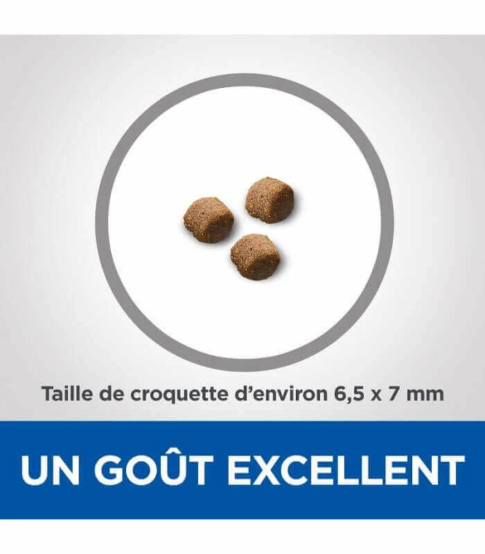 HILL'S Pet Nutrition Croquettes KITTEN GROWTH POULET Chat Sac 2.5 Kg - Vet Essentials 4 HILL'S Pet Nutrition Croquettes KITTEN GROWTH POULET Chat Sac 2.5 Kg - Vet Essentials – Image 4