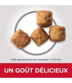 HILL'S Pet Nutrition Croquettes MATURE ADULT 6+ LARGE POULET Chien Sac 14 Kg - Science Plan -alimentation chats boutique croquettes mature adult 6 large poulet chien sac 14 kg science plan 2