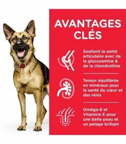 HILL'S Pet Nutrition Croquettes MATURE ADULT 6+ LARGE POULET Chien Sac 18 Kg - Science Plan -alimentation chats boutique croquettes mature adult 6 large poulet chien sac 18 kg science plan 2