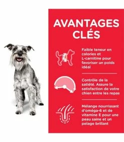 HILL'S Pet Nutrition Croquettes MATURE ADULT 7+ LIGHT SMALL&MINI POULET Chien Sac 2.5 Kg - Science Plan -alimentation chats boutique croquettes mature adult 7 light thickboxmini poulet chien sac 2 kg science plan 2