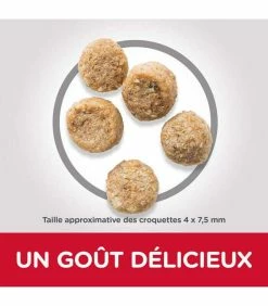 HILL'S Pet Nutrition Croquettes MATURE ADULT 7+ LIGHT SMALL&MINI POULET Chien Sac 2.5 Kg - Science Plan -alimentation chats boutique croquettes mature adult 7 light thickboxmini poulet chien sac 2 kg science plan 3