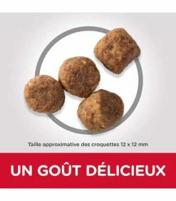 HILL'S Pet Nutrition Croquettes MATURE ADULT 7+ MEDIUM POULET Chien Sac 14 Kg - Science Plan -alimentation chats boutique croquettes mature adult 7 medium poulet chien sac 14 kg science plan 2