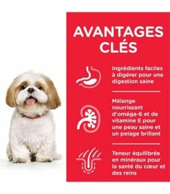 HILL'S Pet Nutrition Croquettes MATURE ADULT 7+ SMALL & MINI POULET Chien Sac 6 Kg - Science Plan -alimentation chats boutique croquettes mature adult 7 thickbox mini poulet chien sac 6 kg science plan 2