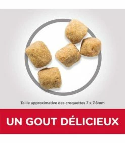 HILL'S Pet Nutrition Croquettes MATURE ADULT 7+ LIGHT POULET Chat Sac 1.5 Kg - Science Plan -alimentation chats boutique croquettes mature adult light poulet chat sac 1 kg science plan 2