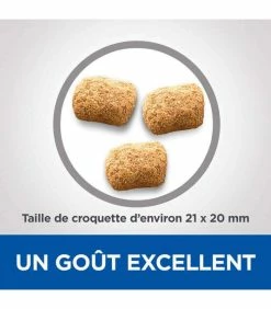 HILL'S Pet Nutrition Croquettes MATURE DENTAL HEALTH MEDIUM&LARGE POULET Chien Sac 10 Kg - Vet Essentials -alimentation chats boutique croquettes mature dental health medium large poulet chien sac 10 kg vetessentials 2
