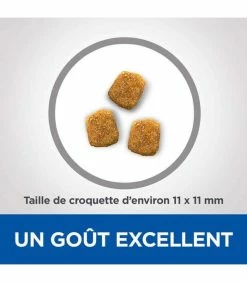 HILL'S Pet Nutrition Croquettes MATURE DENTAL HEALTH POULET Chat Sac 2,5 Kg - Vet Essentials -alimentation chats boutique croquettes mature dental health poulet chat sac 2 kg vetessentials 2