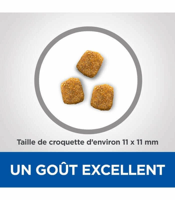 HILL'S Pet Nutrition Croquettes MATURE DENTAL HEALTH POULET Chat Sac 2,5 Kg - Vet Essentials 4 HILL'S Pet Nutrition Croquettes MATURE DENTAL HEALTH POULET Chat Sac 2,5 Kg - Vet Essentials – Image 4