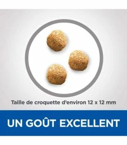 HILL'S Pet Nutrition Croquettes MATURE DENTAL HEALTH SMALL&MINI POULET Chien Sac 2 Kg - Vet Essentials 8 HILL'S Pet Nutrition Croquettes MATURE DENTAL HEALTH SMALL&MINI POULET Chien Sac 2 Kg - Vet Essentials -alimentation chats boutique croquettes mature dental health thickbox mini poulet chien sac 2 kg vetessentials 2