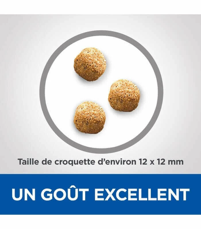 HILL'S Pet Nutrition Croquettes MATURE DENTAL HEALTH SMALL&MINI POULET Chien Sac 7 Kg - Vet Essentials 4 HILL'S Pet Nutrition Croquettes MATURE DENTAL HEALTH SMALL&MINI POULET Chien Sac 7 Kg - Vet Essentials – Image 4