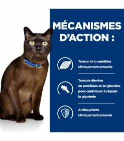 HILL'S Pet Nutrition Croquettes M/D DIABETES POULET Chat Sac 3 Kg - Prescription Diet 12 HILL'S Pet Nutrition Croquettes M/D DIABETES POULET Chat Sac 3 Kg - Prescription Diet -alimentation chats boutique croquettes md diabetes poulet chat sac 3 kg prescription diet 4