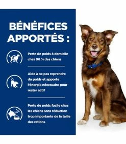 HILL'S Pet Nutrition Croquettes METABOLIC AGNEAU & RIZ Chien Sac 12 Kg - Prescription Diet -alimentation chats boutique croquettes metabolic agneau riz chien sac 12 kg prescription diet 3