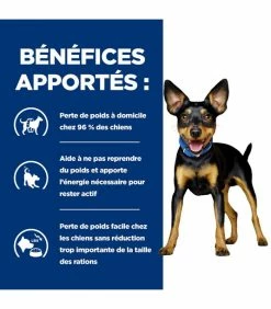 HILL'S Pet Nutrition Croquettes METABOLIC MINI POULET Chien Sac 3 Kg - Prescription Diet -alimentation chats boutique croquettes metabolic mini poulet chien sac 3 kg prescription diet 5