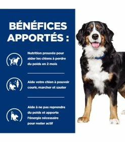 HILL'S Pet Nutrition Croquettes METABOLIC + MOBILITY POULET Chien Sac 4 Kg - Prescription Diet 15 HILL'S Pet Nutrition Croquettes METABOLIC + MOBILITY POULET Chien Sac 4 Kg - Prescription Diet -alimentation chats boutique croquettes metabolic mobility poulet chien sac 4 kg prescription diet 5